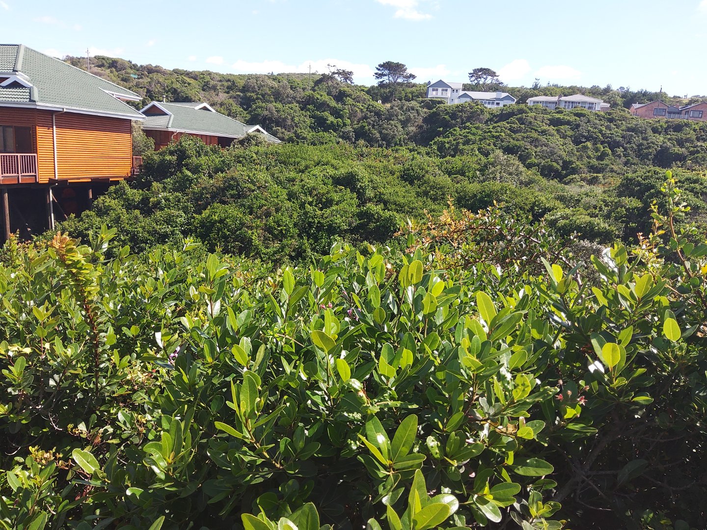  Bedroom Property for Sale in Nature On Sea Western Cape